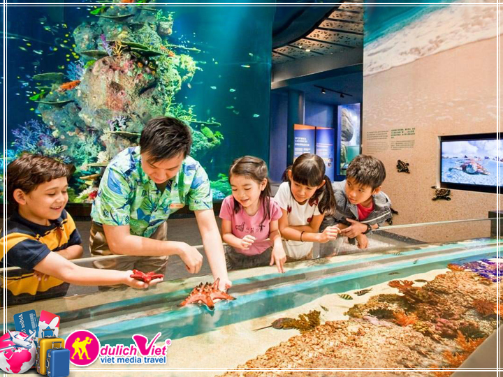 Vé tham quan Singapore khá phám Sea Aquarium